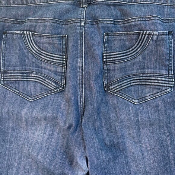 TORRID Stretch Straight Leg Blue Jeans Denim w Barbie Pink Tone Size 22 - Picture 7 of 8